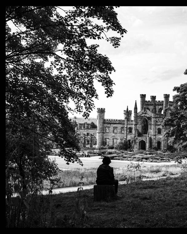 The castle, held at a distance behind a branch