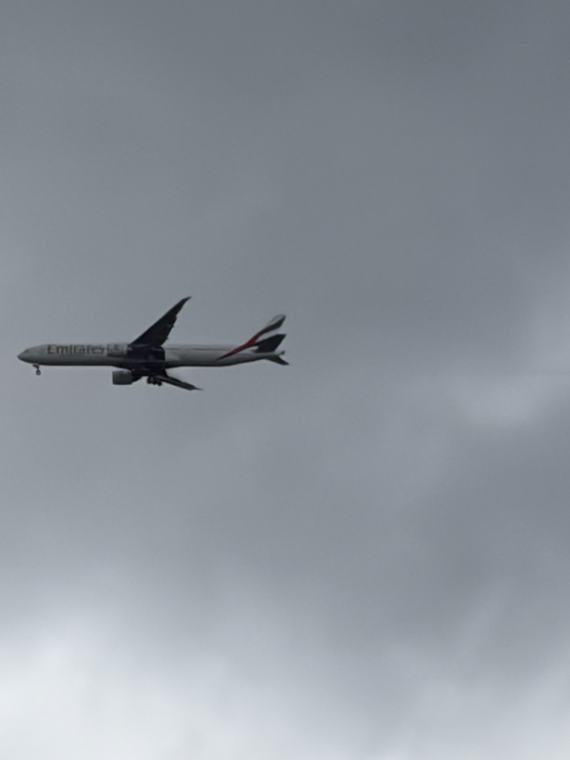 Straight overhead, against flat grey