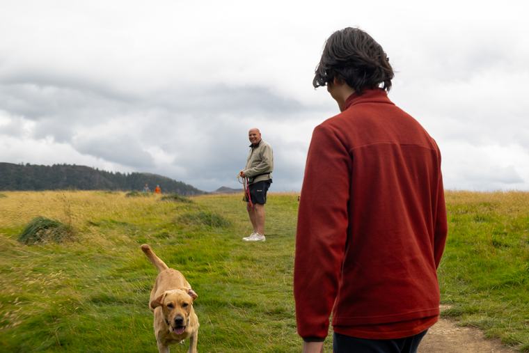 On the hill, dog first