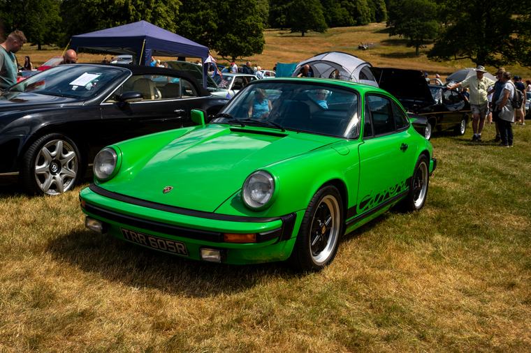 Green 911 in the long grass
