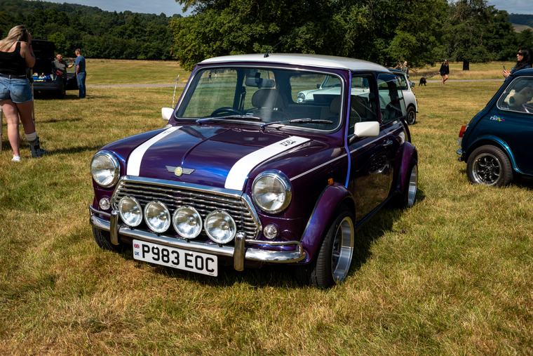 A Mini with stripes, parked on the grass
