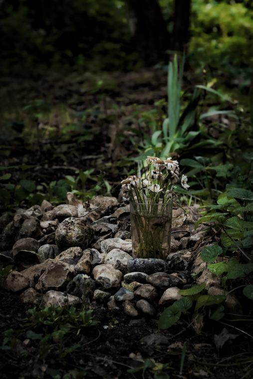 Something growing out of the rubble