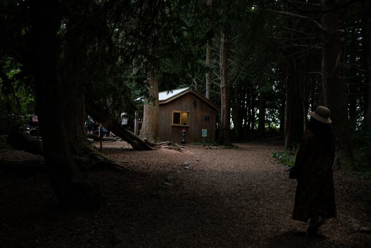 A hut in the trees, light almost gone