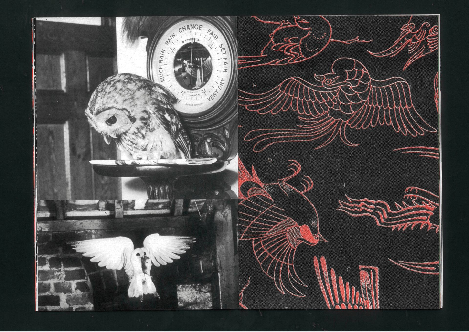 Fig. 06 — Owl and decorative plate in red