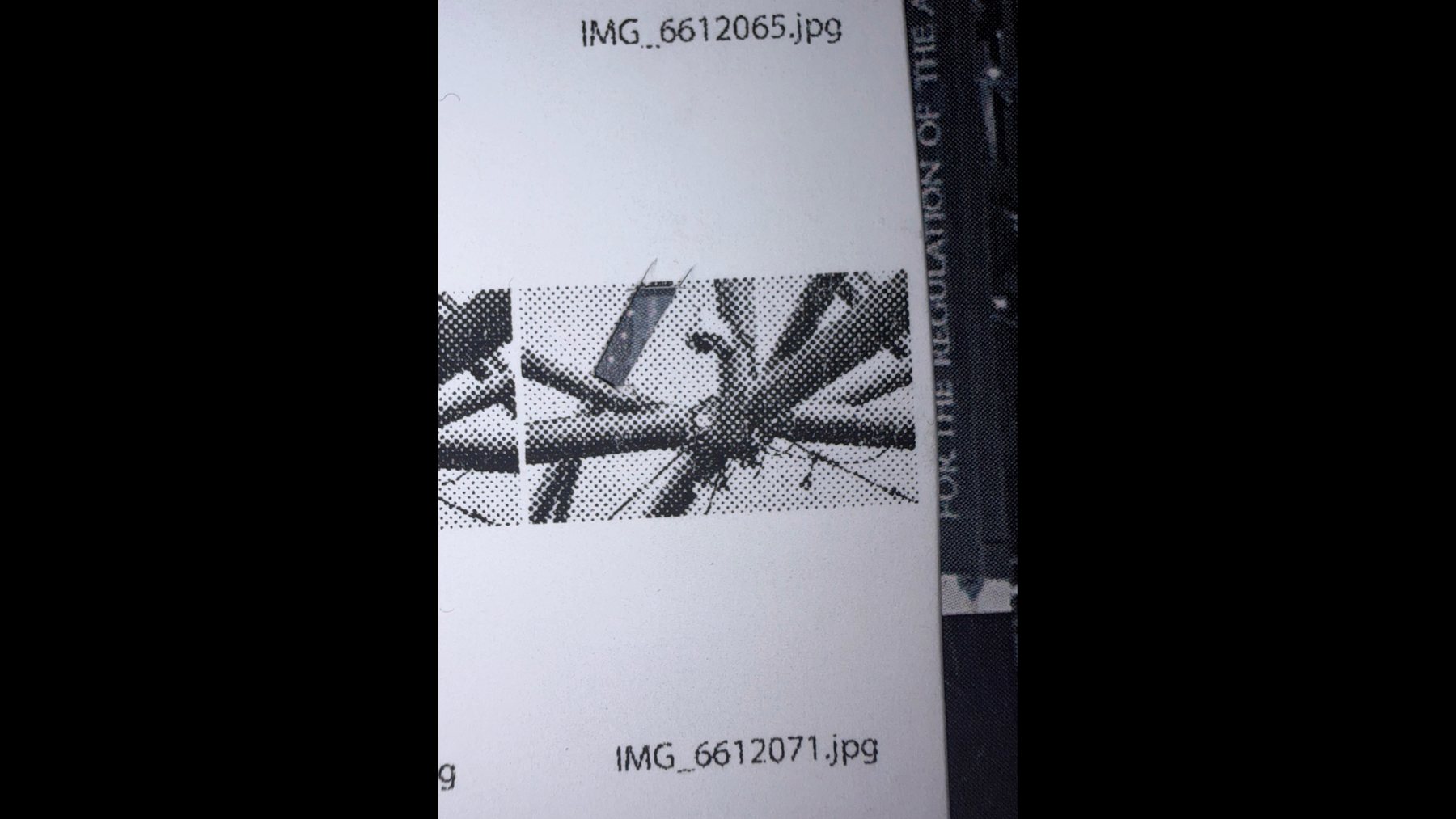 A single print, photographed on the sheet